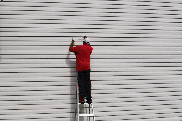 Affordable Siding Repair and Maintenance Services in Brookland, AR
